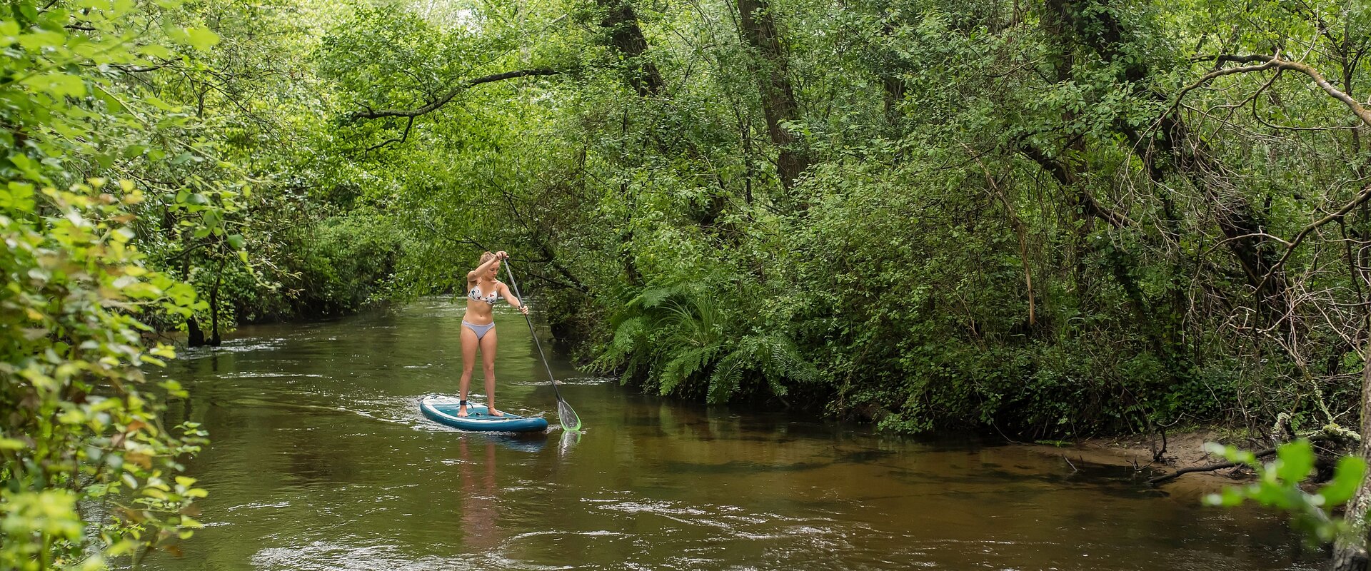 Eine schöne, athletische, junge Frau paddelt mit ihren Paddle Board auf einem kleinen Fluß durch einen Laubwald