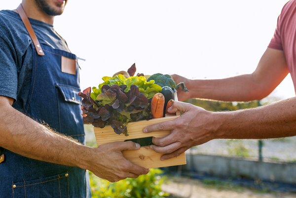 Arme und Hände zweier Männer, die sich eine kleine Holzkiste mit frischem Gemüse zureichen.