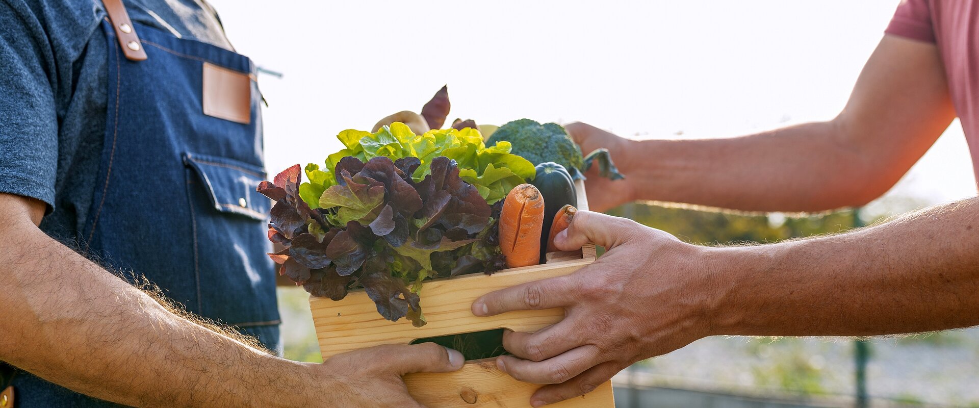 Arme und Hände zweier Männer, die sich eine kleine Holzkiste mit frischem Gemüse zureichen.