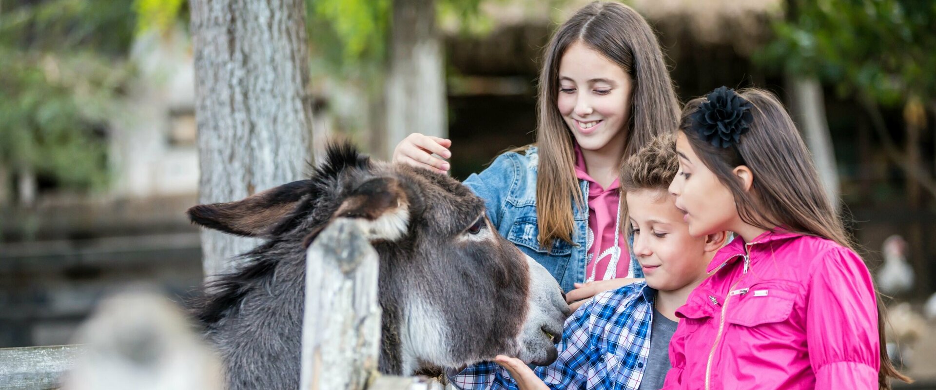 Eine Jugendliche, ein kleiner Junge und ein Mädchen stehen an einem Holzzaun und streicheln den Esel, der seinen Kopf über das Gatter streckt