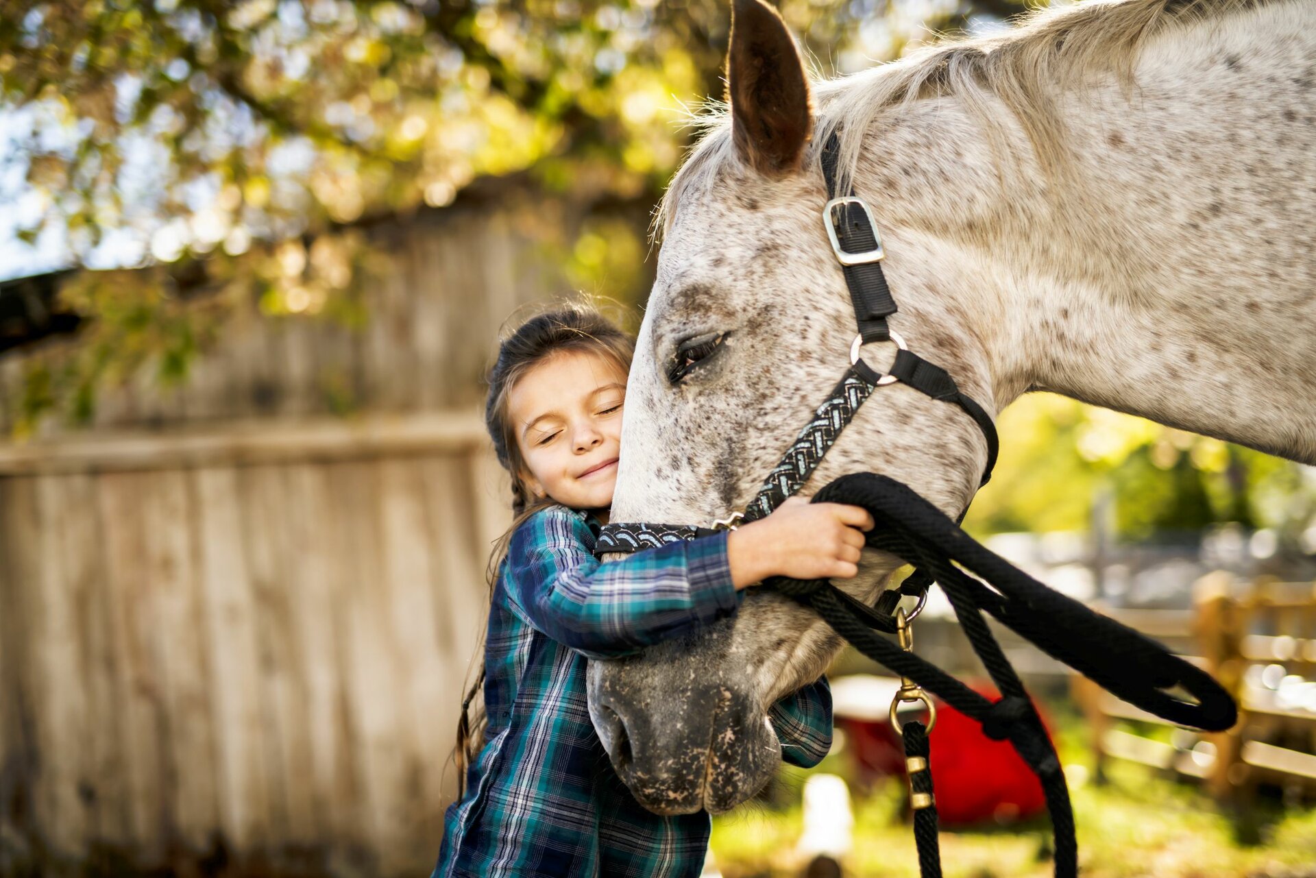 Ein junges Mädchen umarmt den Kopf eines Pferdes