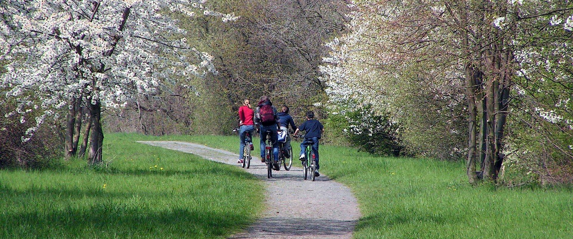 Eine Radfahrergruppe auf der ehemaligen Bahnstrecke Göttingen–Dransfeld–Hann. Münden, wo heute ein Teil des Weser-Harz-Heide-Radweg verläuft.