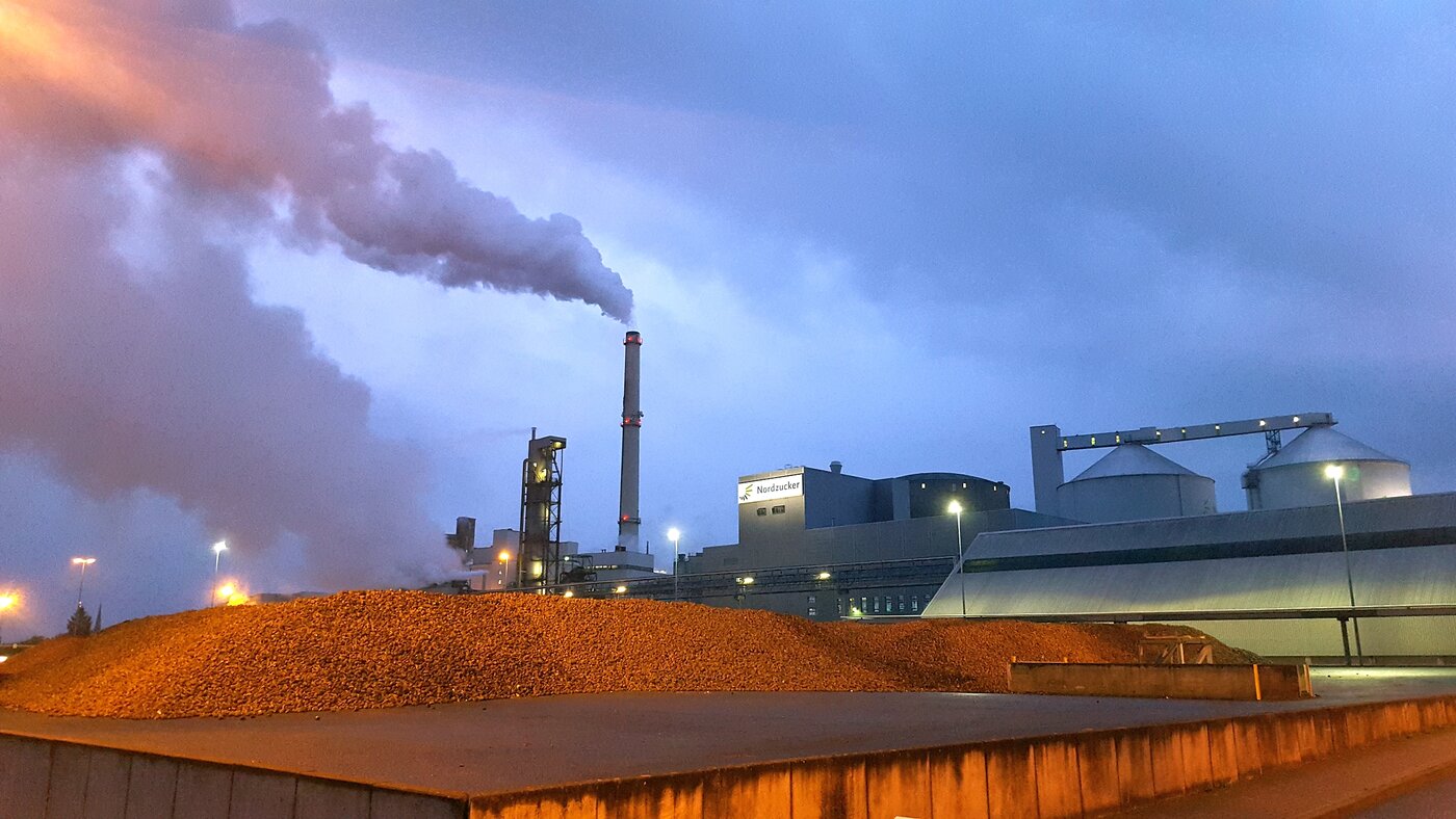 Ein Förderband voller Zuckerrüben führt in ein Fabrikgebäude mit der Aufschrift Nordzucker