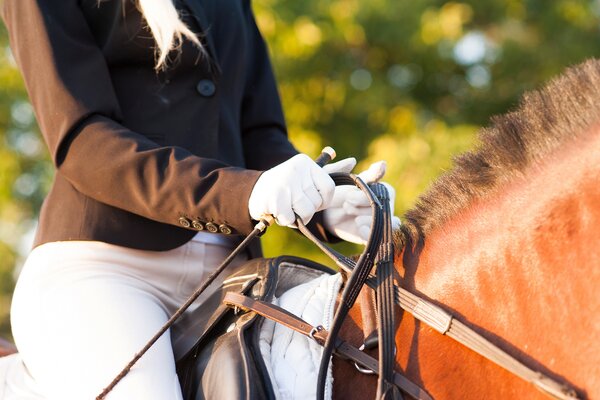 Nahaufnahme der behandschuhten Hände einer Reiterin, die auf einem braunen Pferd sitzt und in der geschlossenen Hand eine Reitgerte und die Zügel hält