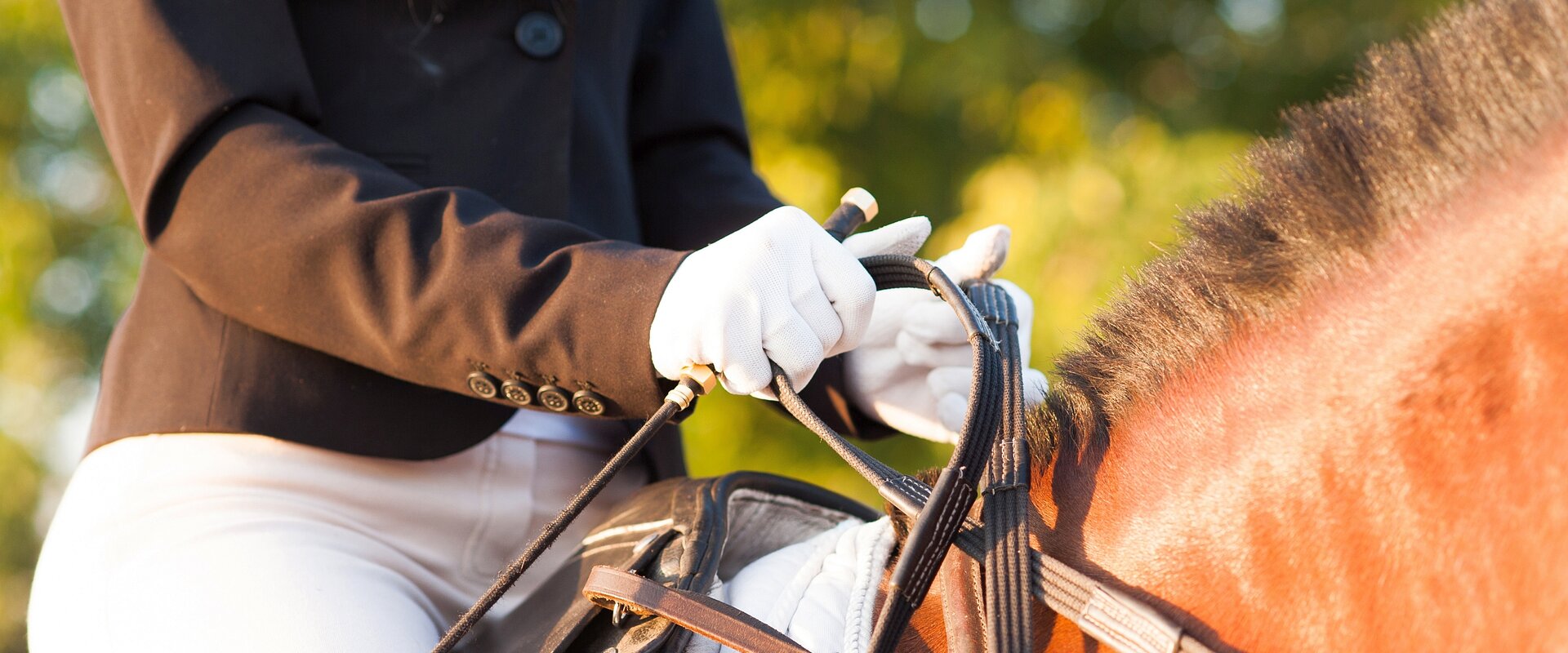 Nahaufnahme der behandschuhten Hände einer Reiterin, die auf einem braunen Pferd sitzt und in der geschlossenen Hand eine Reitgerte und die Zügel hält