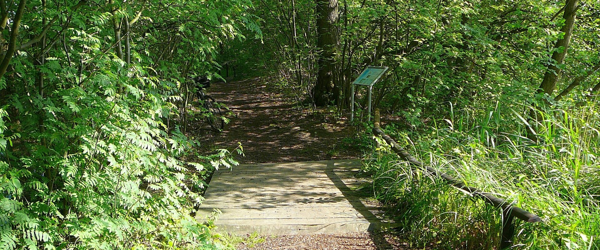 Von Bäumen und Sträuchern umwachsener Waldweg, in der vorderen Bildhälfte Teile einer Holzbrücke, die auf den Weg führt. Rechts hinter der Brücke eine Informationstafel