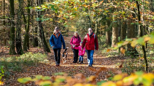 Eine Familie (älteres Paar, Frau, Kind und Hund) geht nebeneinander in Richtung des Betrachters auf dem laubbedeckten Weg eines Herbstwaldes