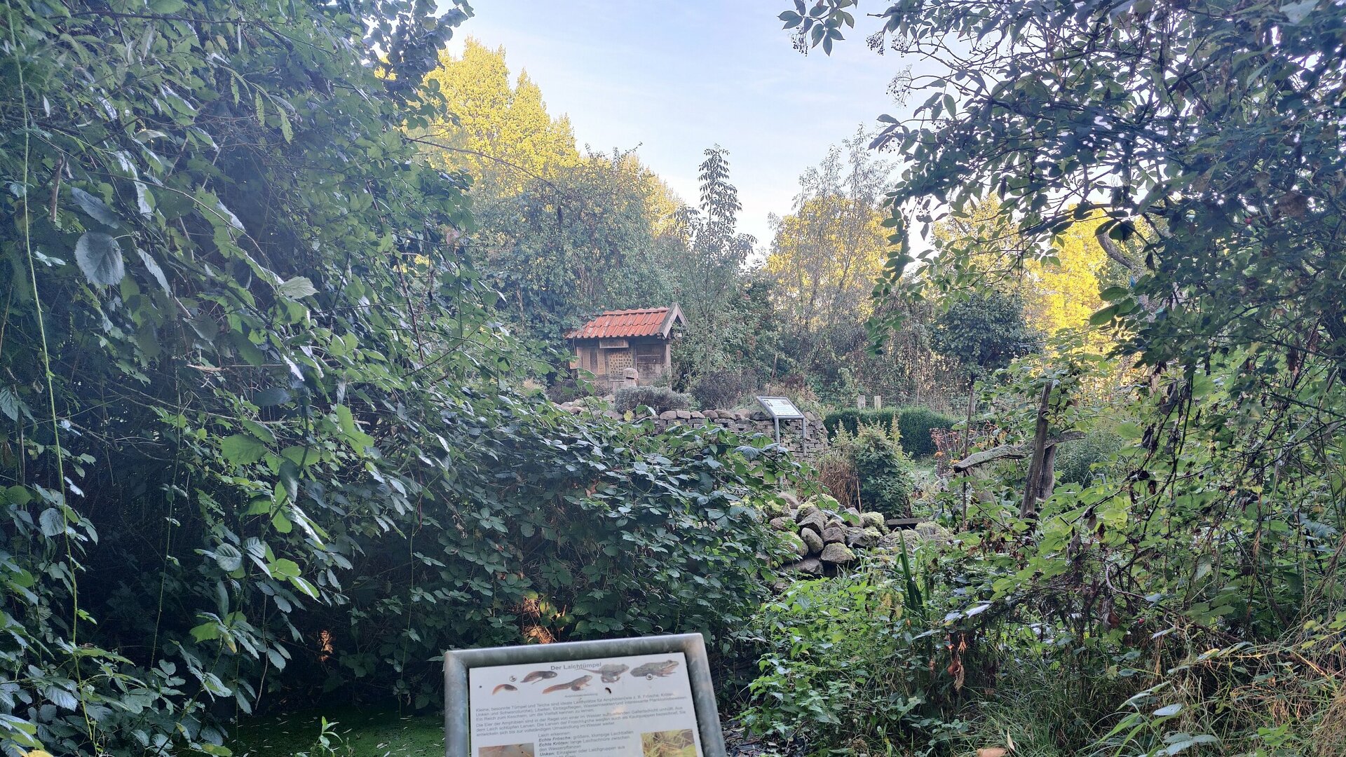 Blick über eine Infotafel zu einem Laichtümpel in das von der Nabu-Kreisgruppe Uelzen betriebene  Wildgarten-Gelände der Natur-Erfahrungsstätte "Nabu Nest"