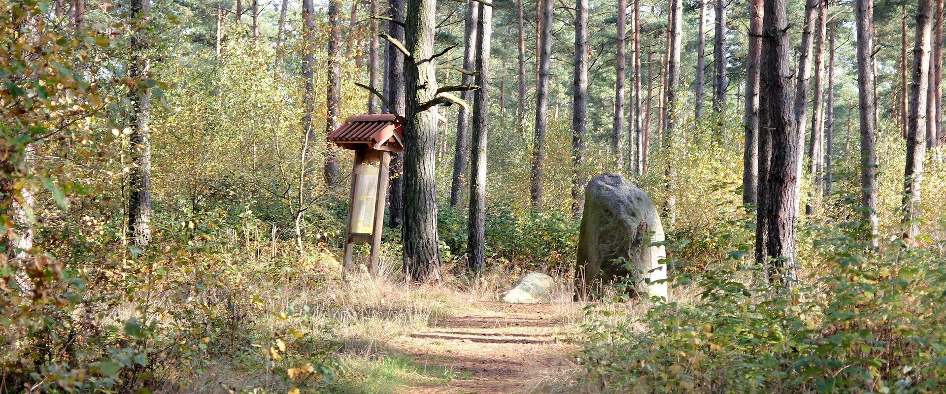 Blick auf die im Wald gelegenen "Brautsteine" bei Schmölau - zwei mächtige Findlinge mit "sagenhafter" Geschichte